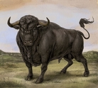 Cover for San Fermin Cover for San Fermin